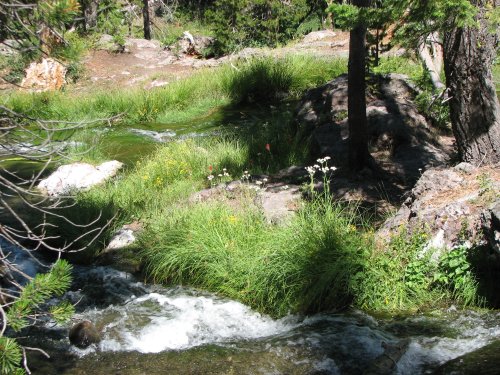 Paulina Creek